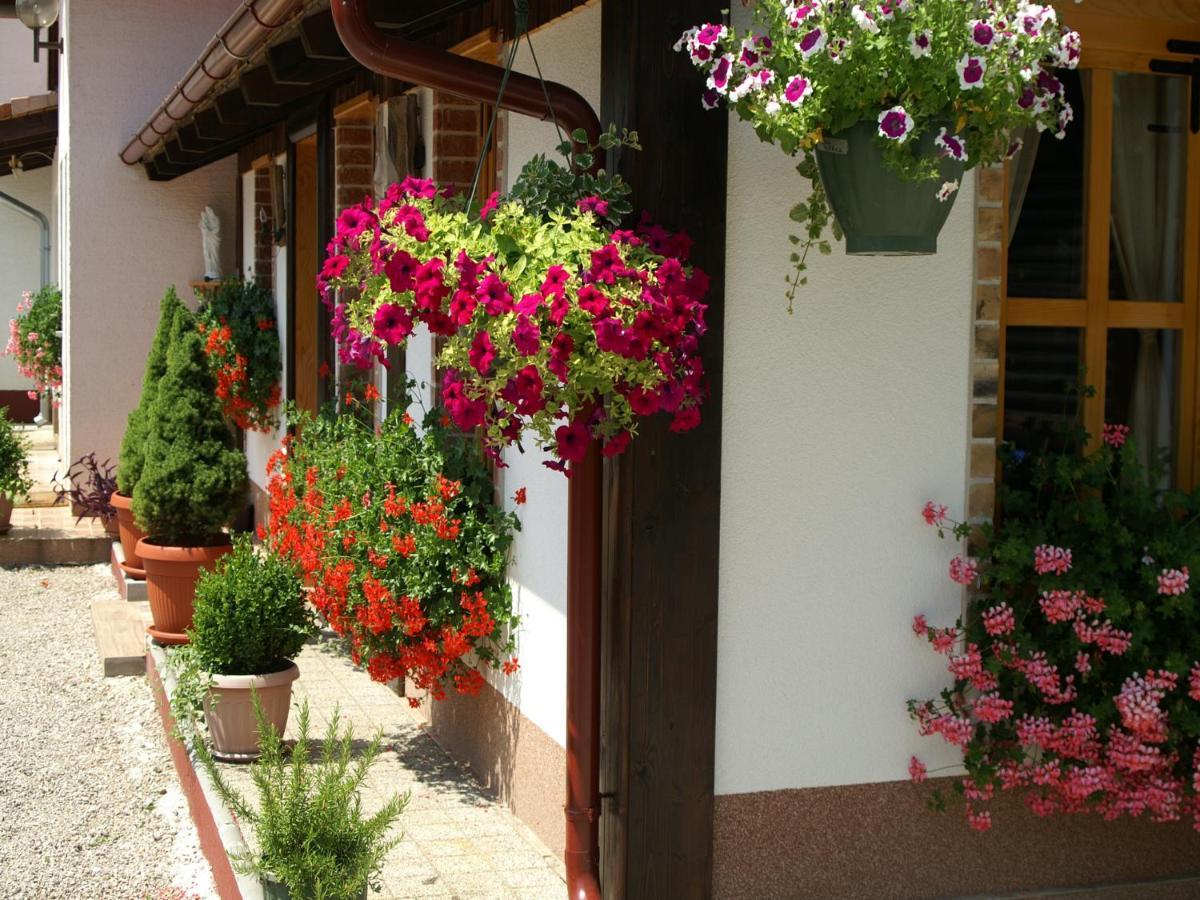 Bed & Breakfast Helena Grabovac Kültér fotó