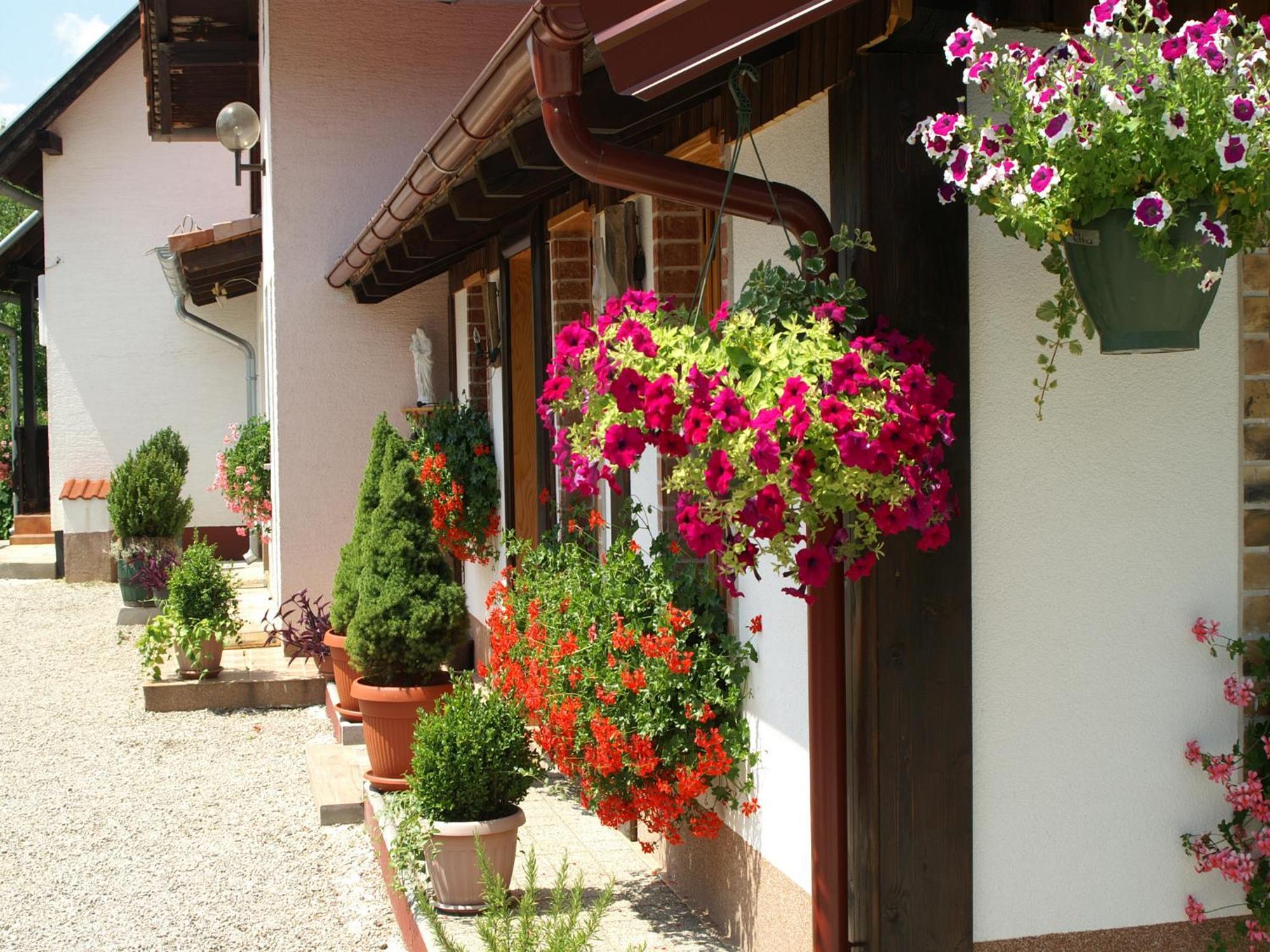 Bed & Breakfast Helena Grabovac Szoba fotó